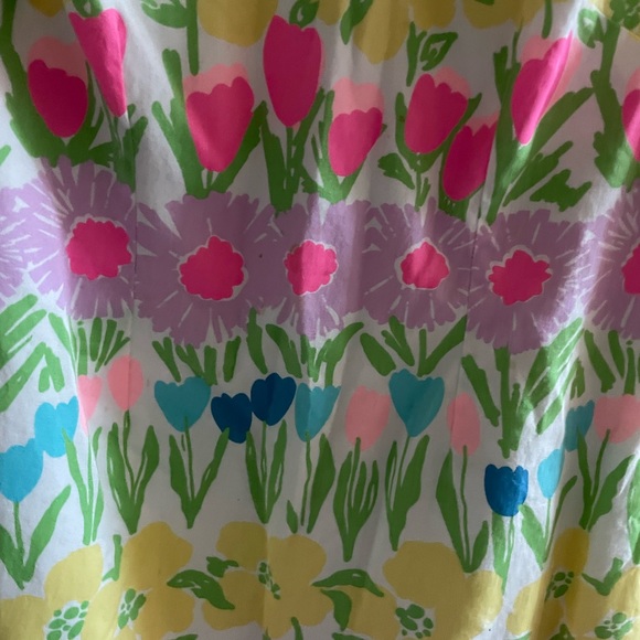 Lilly Pulitzer Mini 200s Dress - Picture 3 of 5